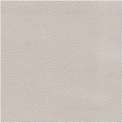 MI-SHARK/BEIGE - Faux Leathers Fabric Suitable For Upholstery And Pillows Only.   - Houston