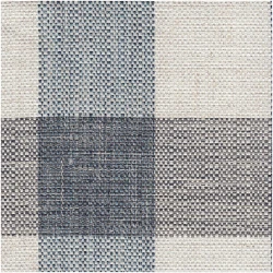 TN-PLAID/SKY - Multi Purpose Fabric Suitable For Drapery