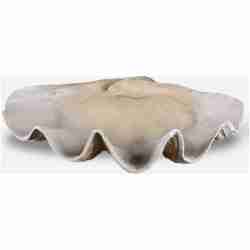 Clam-Decorative Bowls & Trays