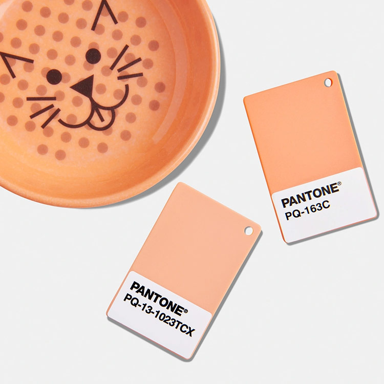 Peach Fuzz: The Purr-fect Hue for Your Home in 2024