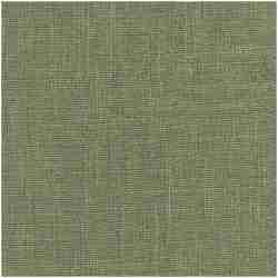 LIKENESS/GREEN - Multi Purpose Fabric Suitable For Drapery