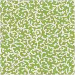 PK-HAVOY/GREEN - Prints Fabric Suitable For Drapery