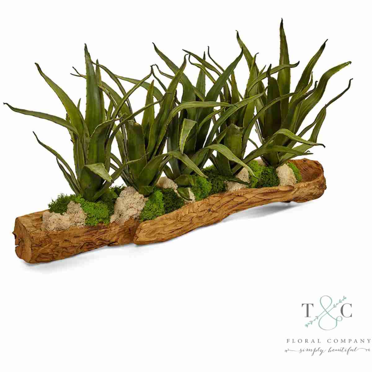 Agave Succulents In A Wood Log - 36L X 12W X 19H Floral Arrangement