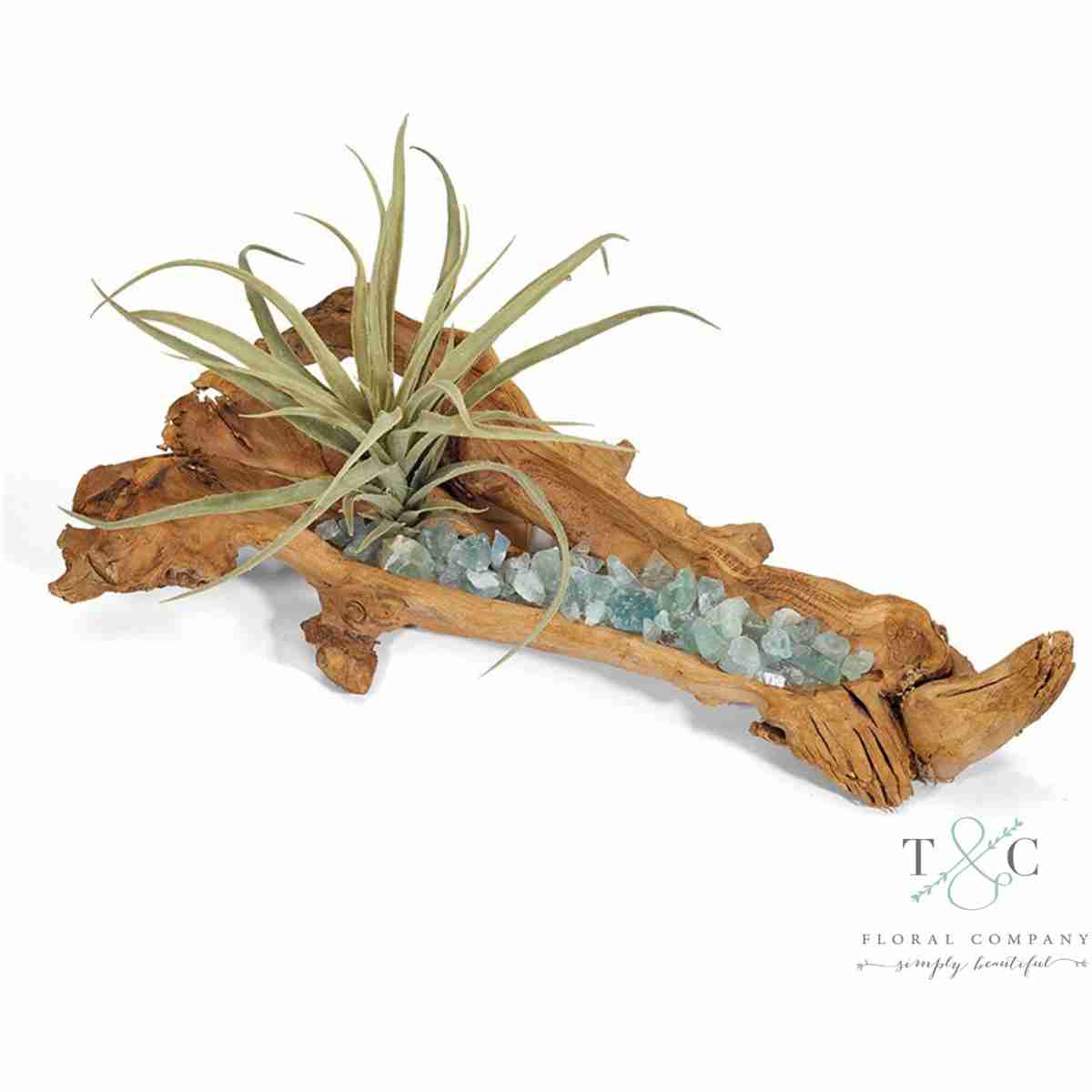 Baby Log Filled With Flourite And Tillandsia - 4L X 5W X 18H Floral Arrangement