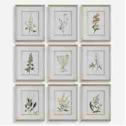 Botanical Flowers-Botanical Prints