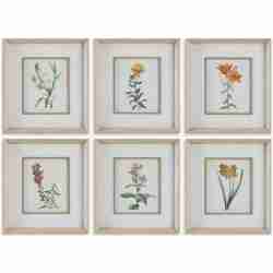 Classic Botanicals-Botanical Prints