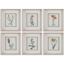 Classic Botanicals-Botanical Prints