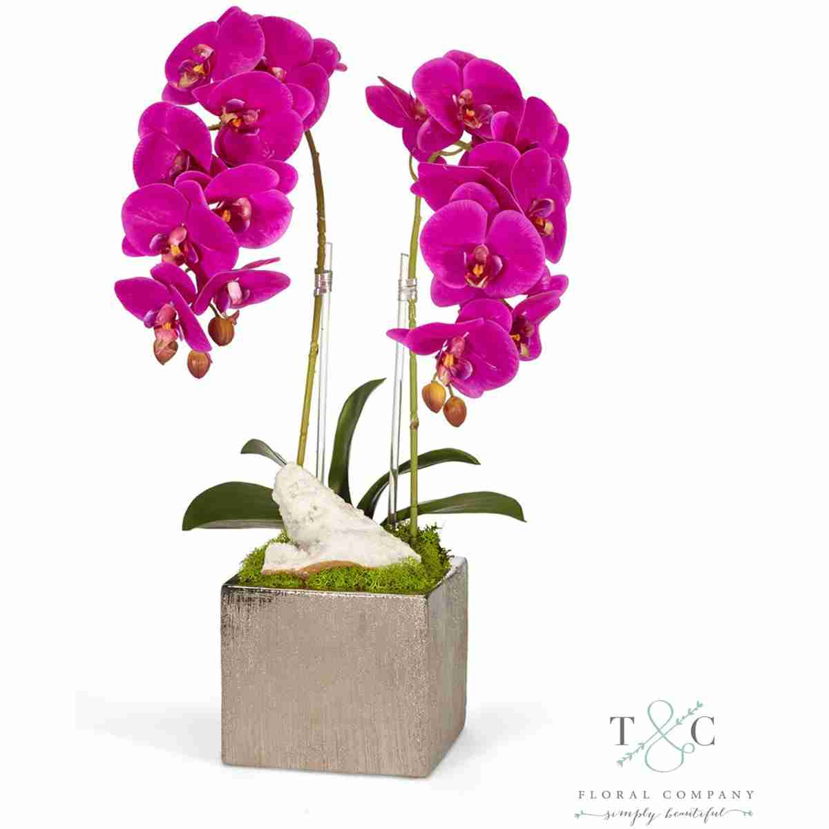 Double Fuchsia Orchid In Silver Square - 12L X12W X 24H Floral Arrangement