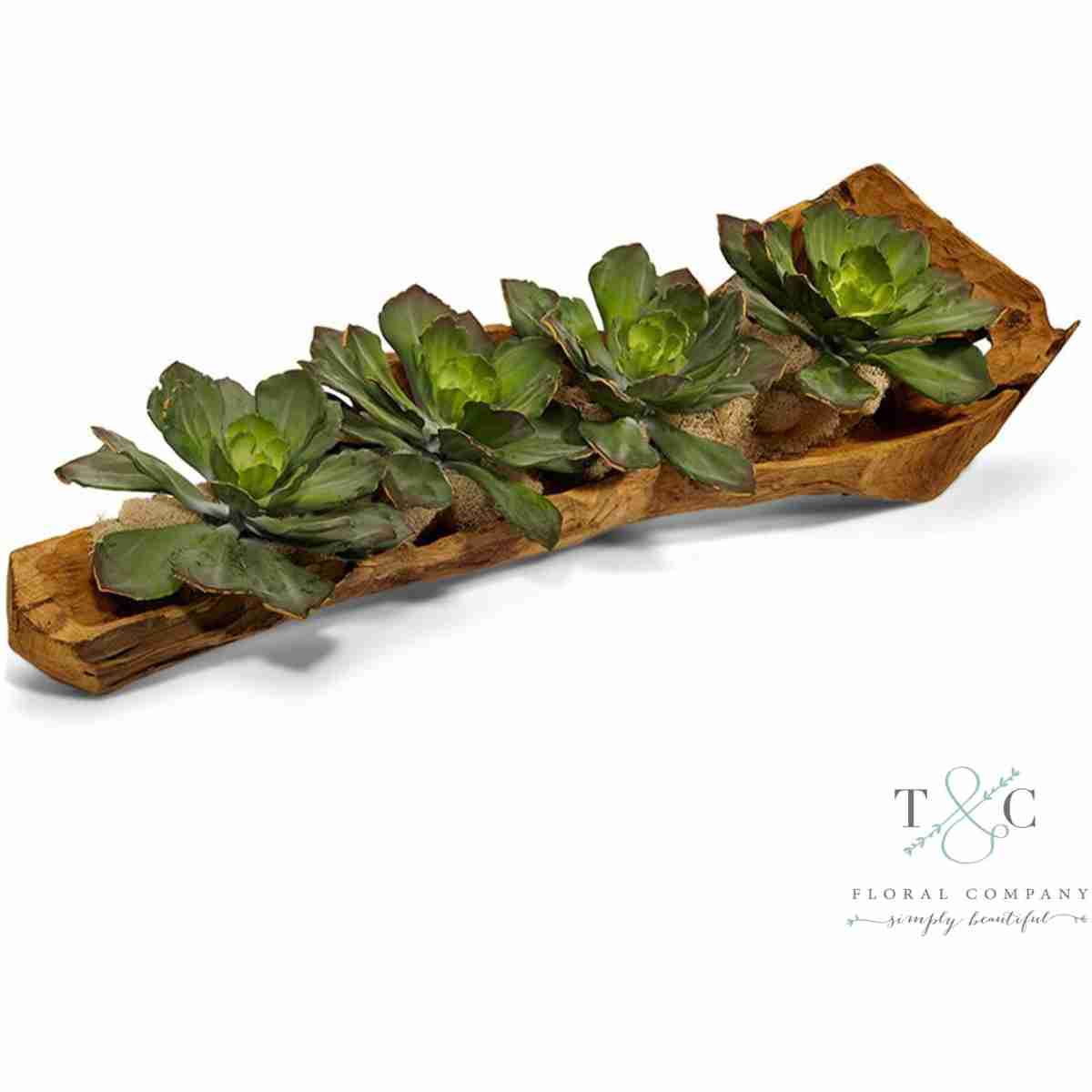 Echeveria Succulents In A Wood Log - 40L X 10W X 10H Floral Arrangement