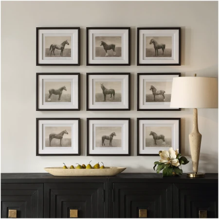 Uttermost Equine Dynasty Framed Prints