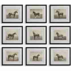 Equine Dynasty-Horse Prints