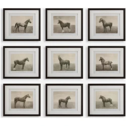 Equine Dynasty-Horse Prints