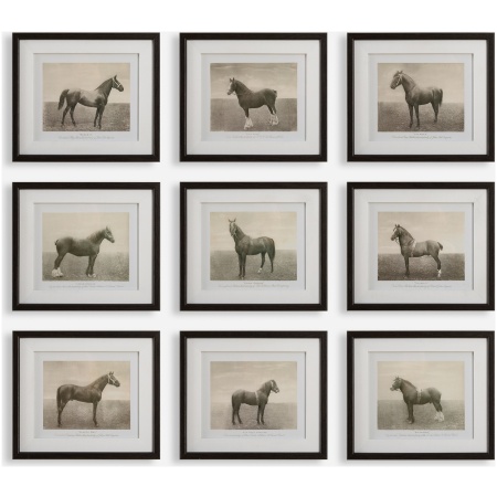 Equine Dynasty-Horse Prints