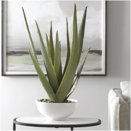 Uttermost Evarado Aloe Planter