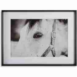 Eye Of The Beholder-Horse Prints