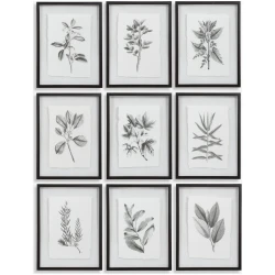 Farmhouse Florals-Botanical Prints