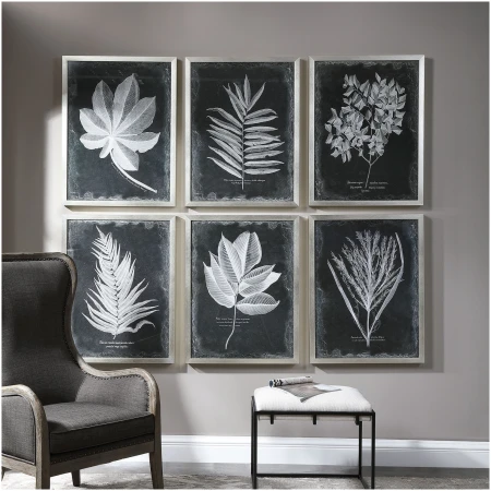 Uttermost Foliage Framed Prints