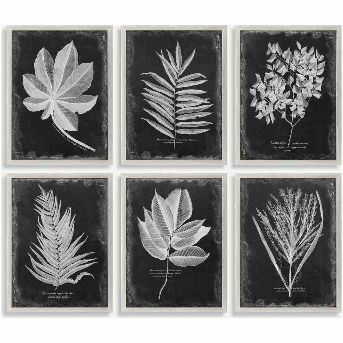 Foliage-Leaf Prints