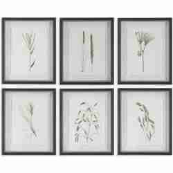 Forest Finds-Botanical Prints