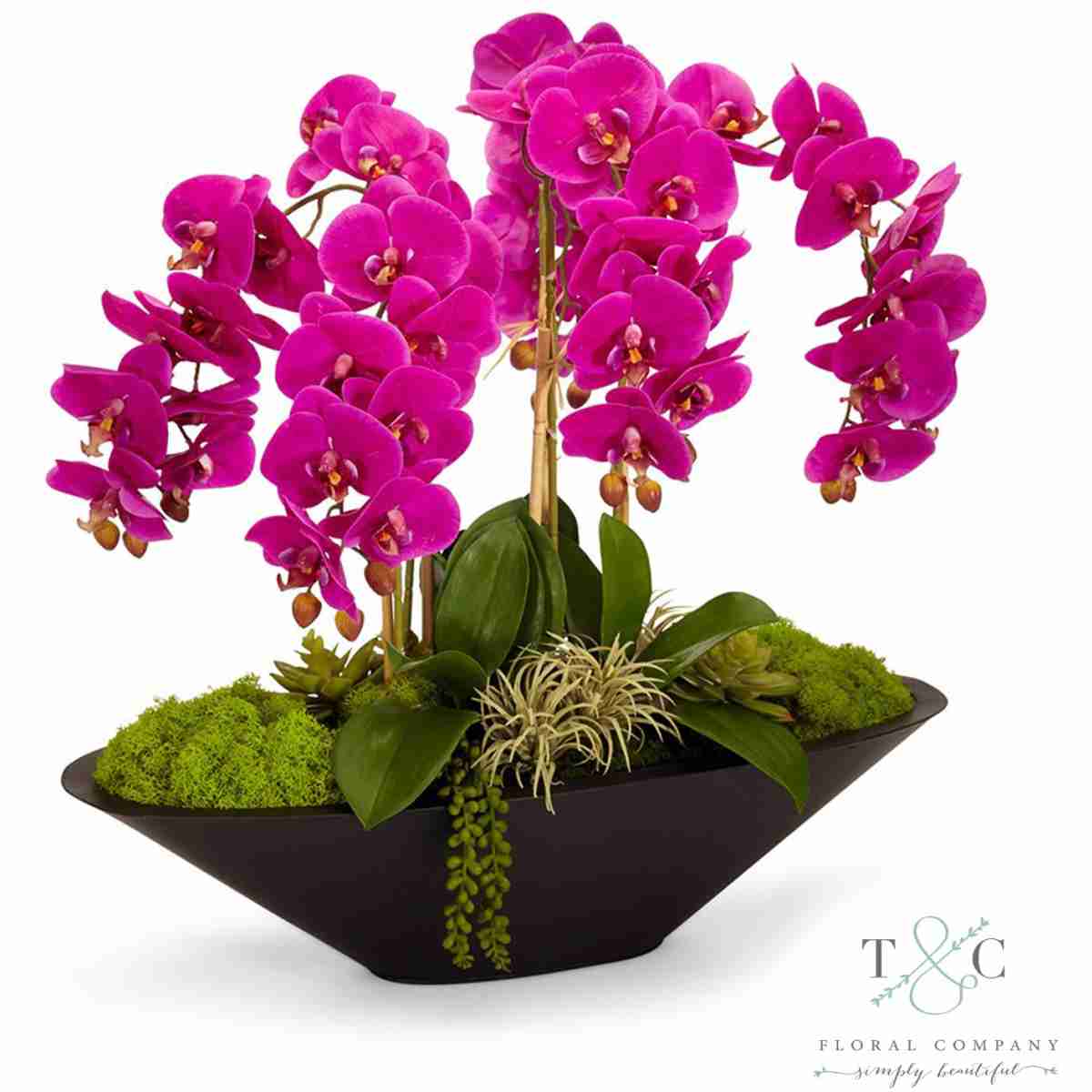 Fuchsia Orchid In Large Metal Boat - 26L X 11W X 24H Floral Arrangement