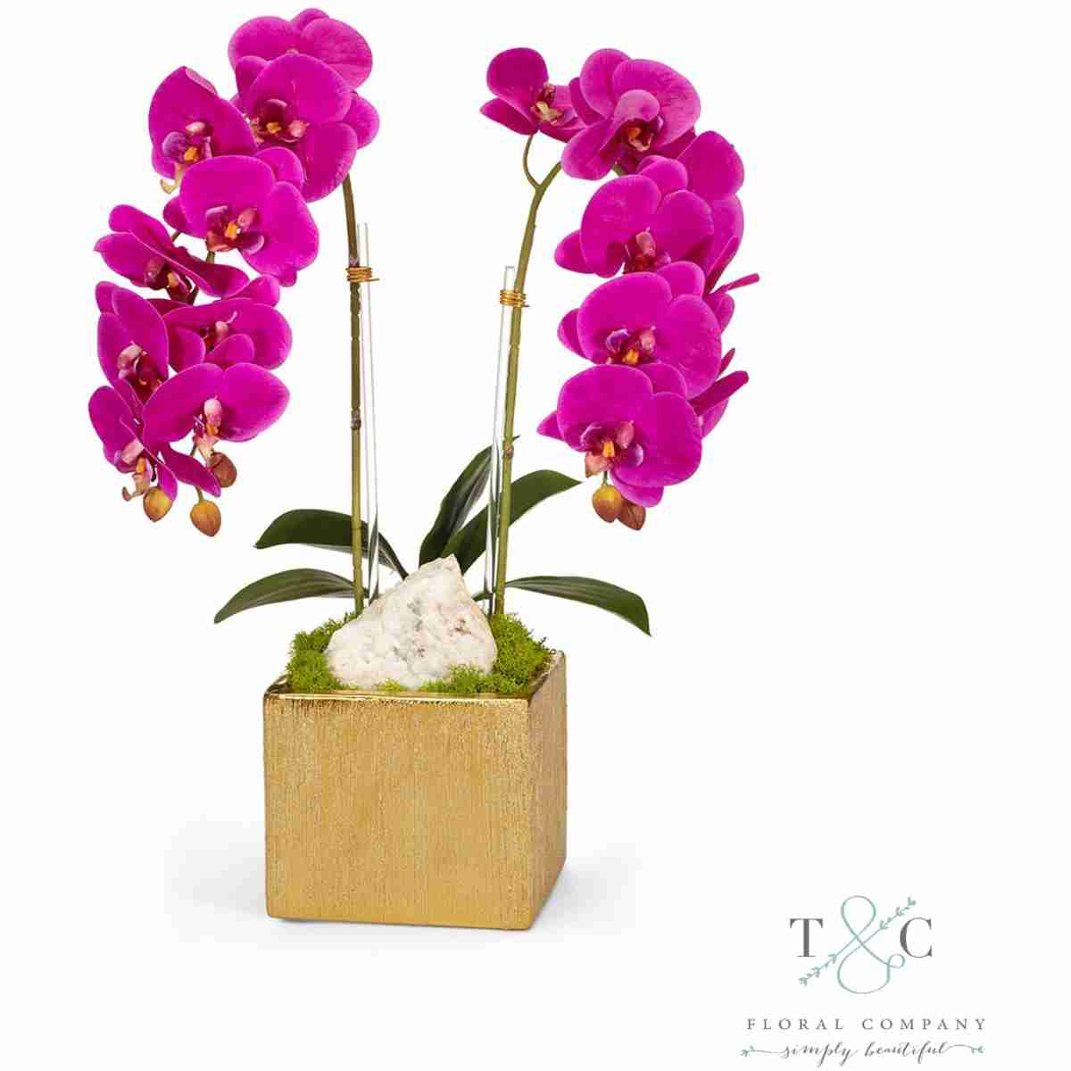 Fuchsia Double Orchid In Gold Square - 10L X 9W X 21H Floral Arrangement