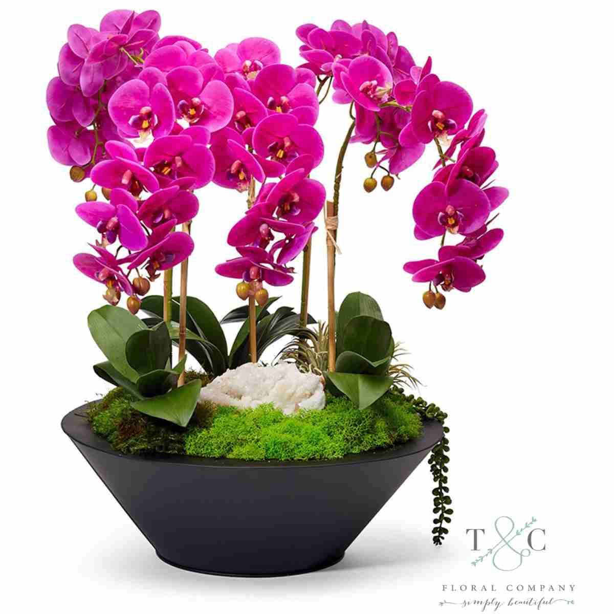 Fuchsia Orchids In Sleek Metal Container - 22L X 22W X 26H Floral Arrangement