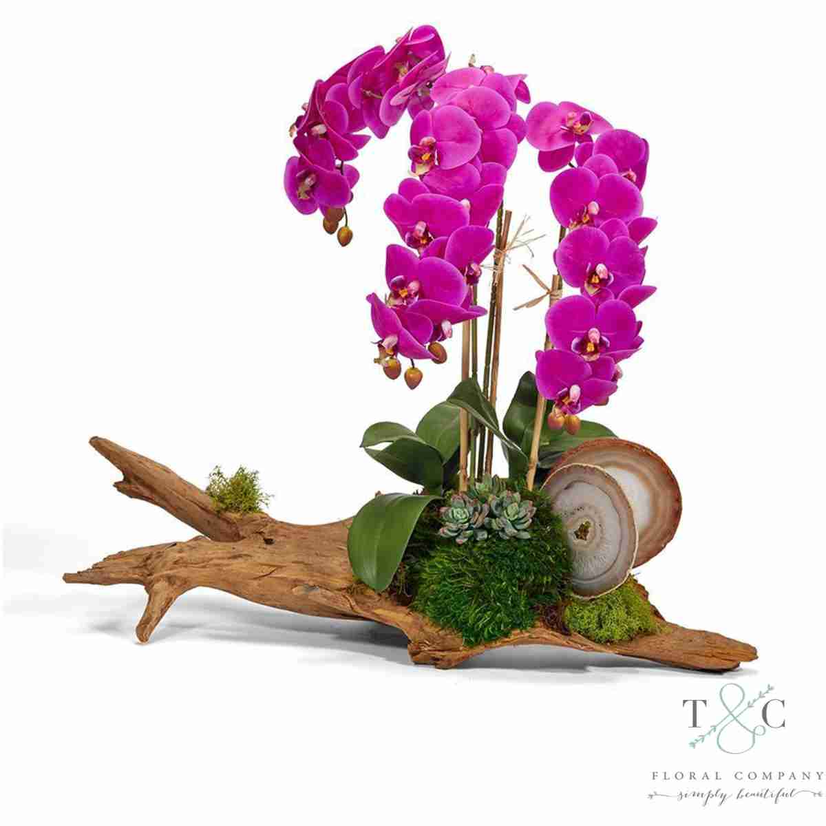 Fuchsia Orchid On Driftwood - 24L X 12W X 25H Floral Arrangement