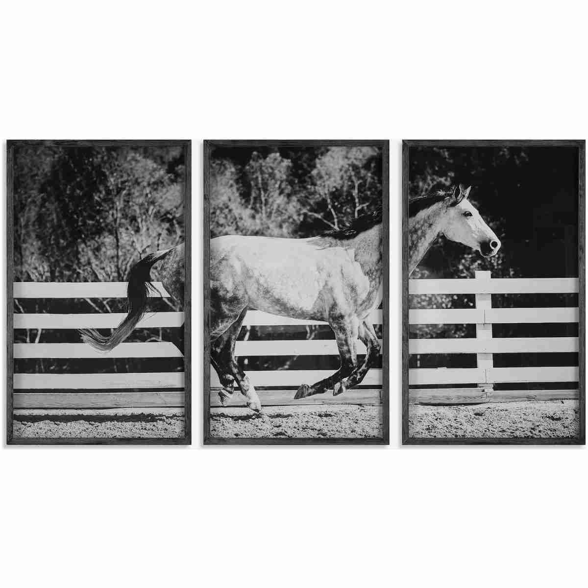 Galloping Forward-Framed Prints