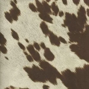 Go Wild With Animal Prints Carrollton Texas Discount Designer Fabric Store