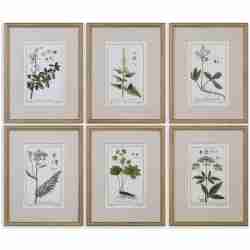 Green Floral Botanical Study-Floral Prints