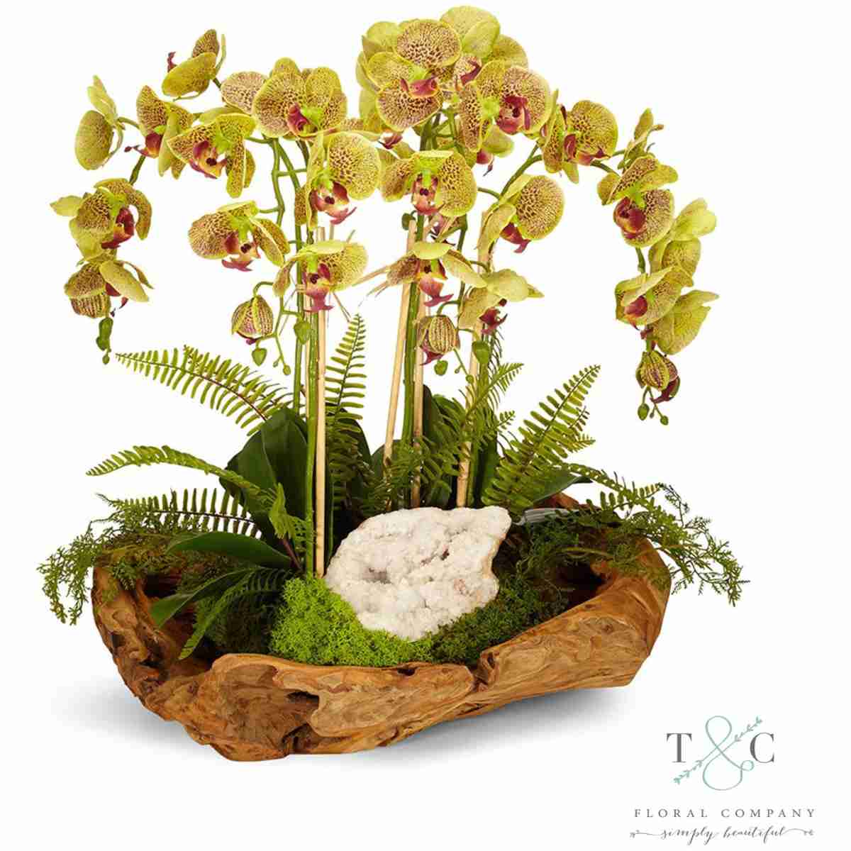 Green Orchid And Geode In Wood Bowl - 20L X 15W X 16H Floral Arrangement