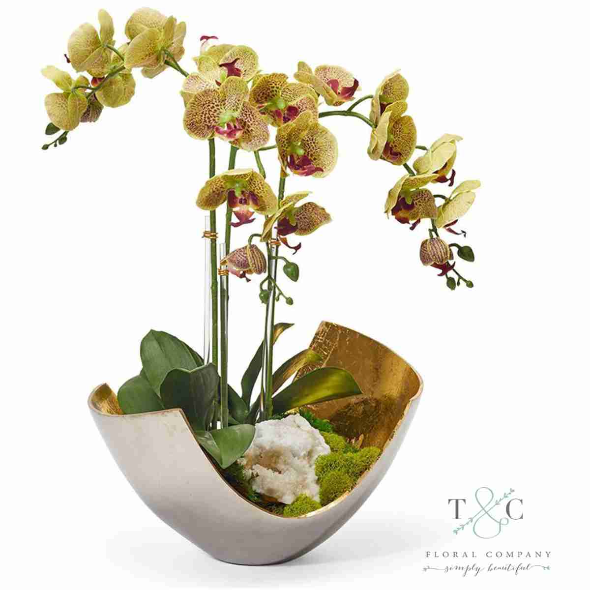 Green Orchids In Two-Toned Metal Bowl With Quartz - 23L X 15W X 15H Floral Arrangement