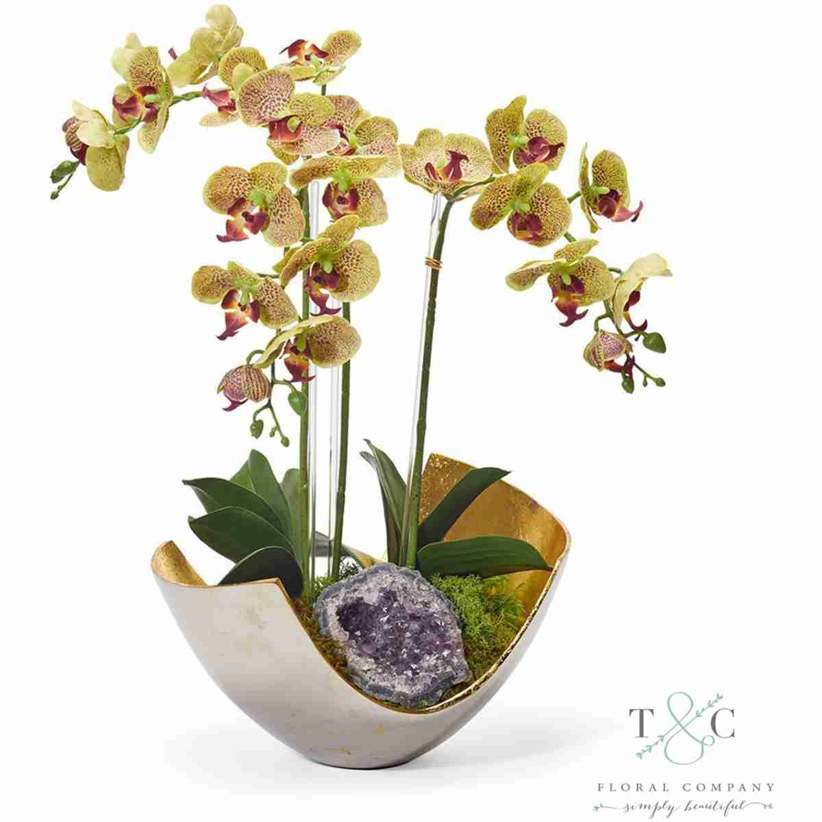 Green Orchids In Two-Toned Metal Bowl With Amethyst - 23L X 15W X 15H Floral Arrangement