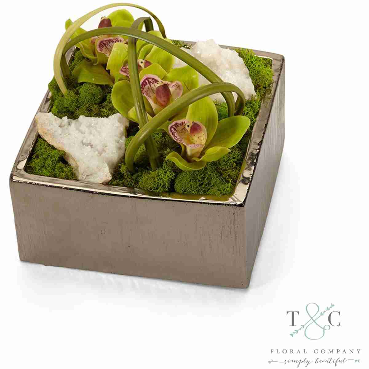 Green Orchid With Quartz Table Top In Silver Square - 8L X 8W X 8H Floral Arrangement