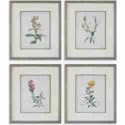 Heirloom Blooms-Botanical Prints