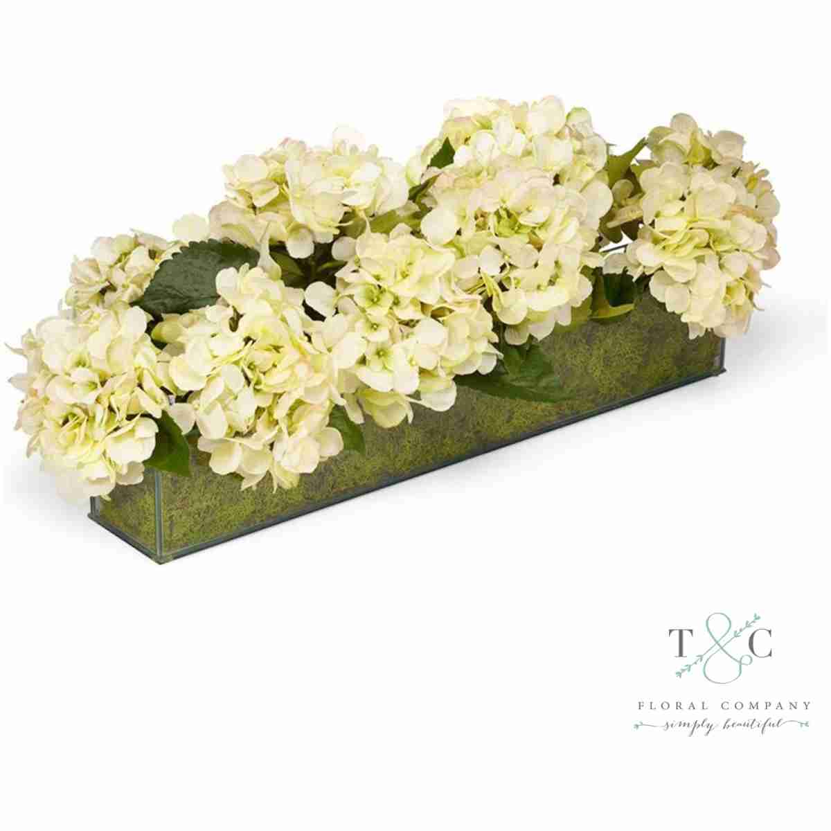 Hydrangeas In Glass Box - 32L X 12W X 10H Floral Arrangement