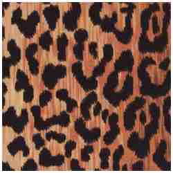 JAGUAR/GOLD - Multi Purpose Fabric Suitable For Drapery