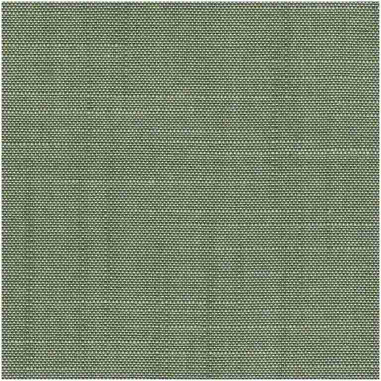 LARNEY/GREEN - Multi Purpose Fabric Suitable For Drapery