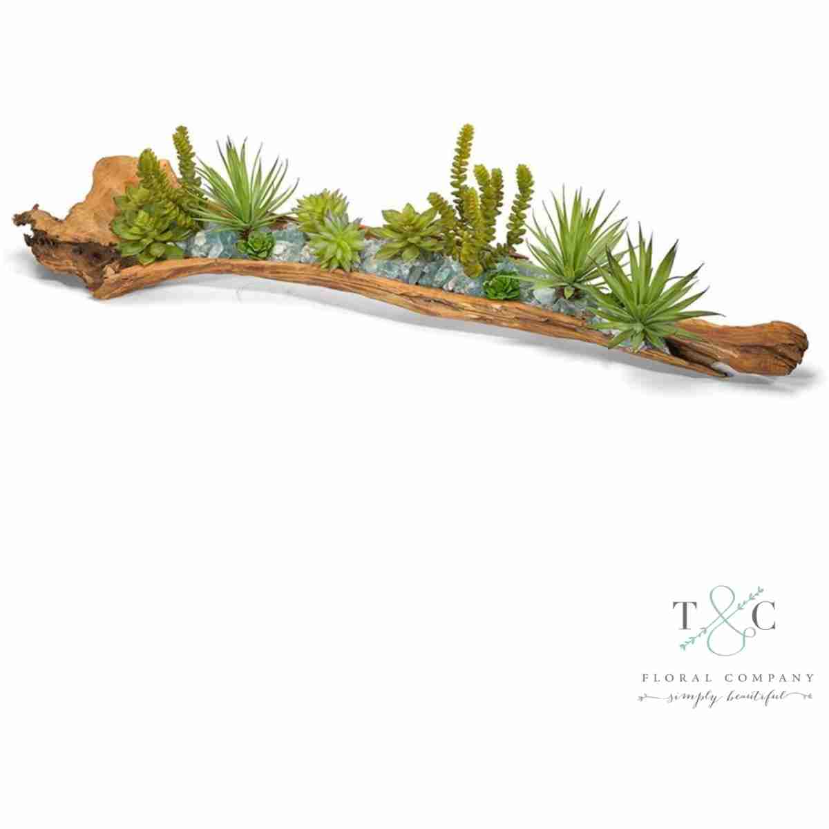 Log Filled With Succulents - 9L X 7W X 36H Floral Arrangement