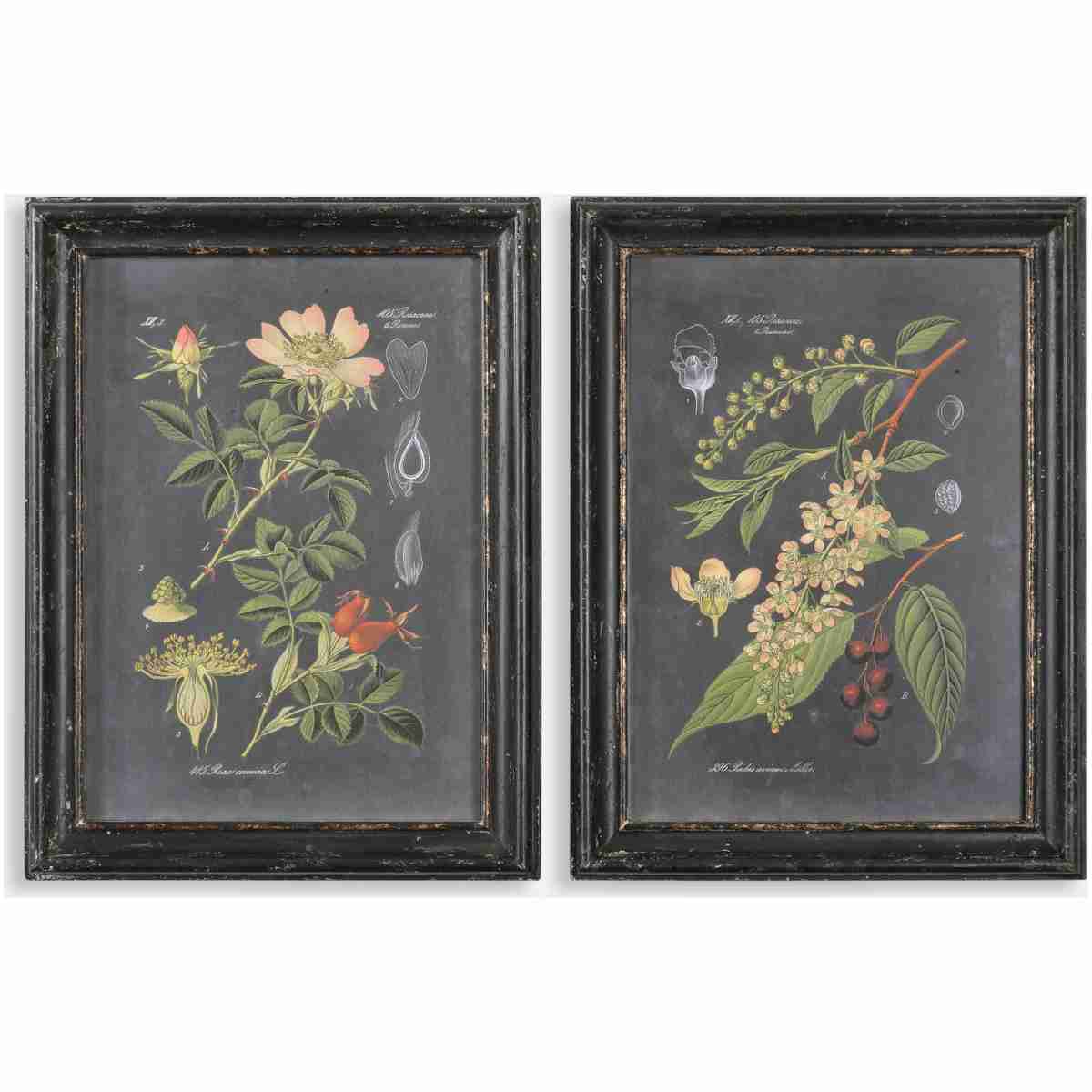 Midnight Botanicals-Wall Art