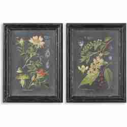 Midnight Botanicals-Wall Art