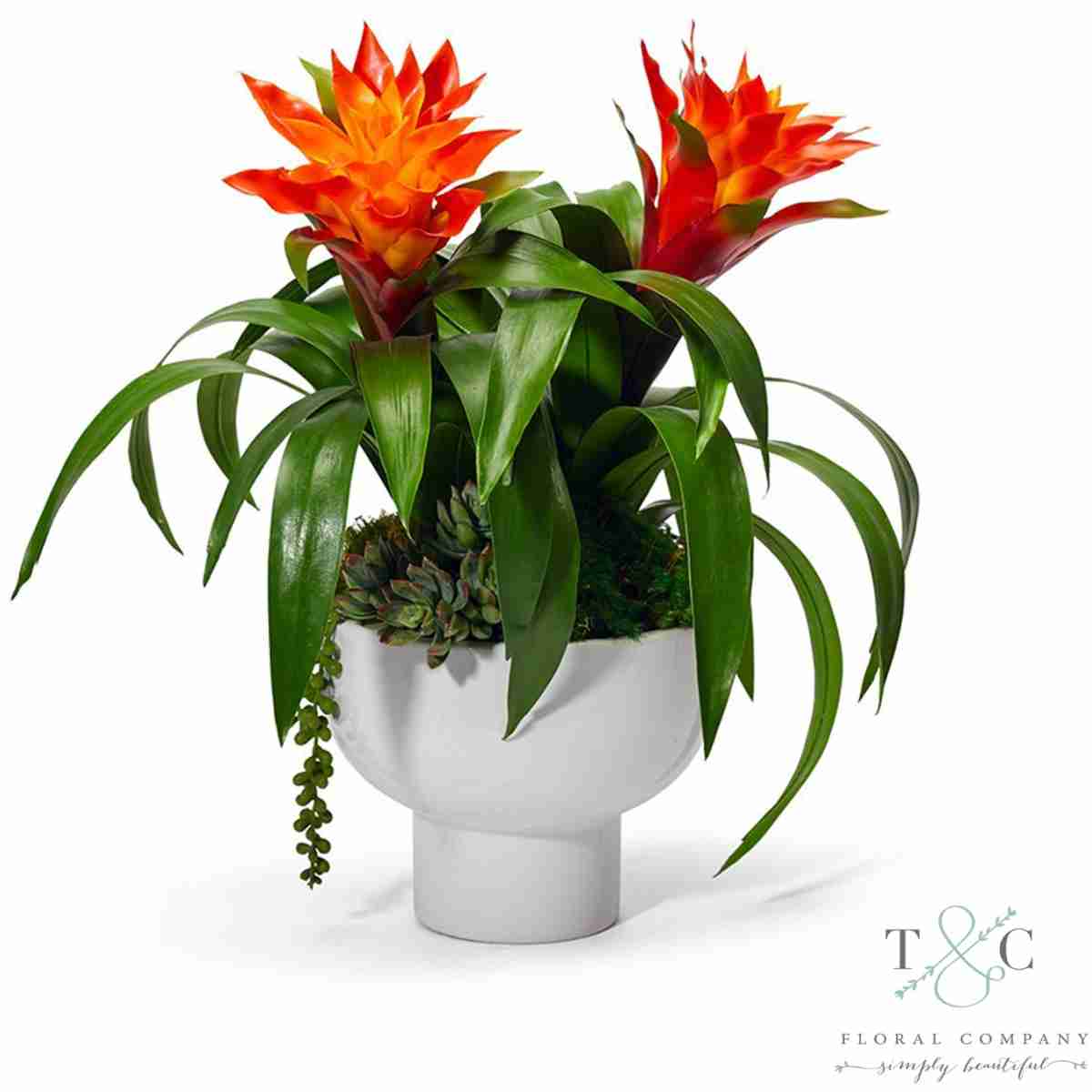 Orange Bromedliad In A Unique Contemporary Container - 18L X 14W X 14H Floral Arrangement