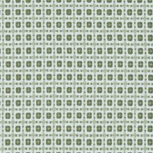 P-DULLY/GREEN – Fabric