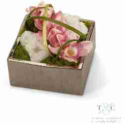 Pink Orchid with Quartz Table Top in Silver Square - 8L x 8W x 8H Floral Arrangement