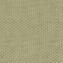 PK-REEF/GREEN – Fabric