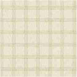 PK-VATAL/BIRCH - Multi Purpose Fabric Suitable For Drapery