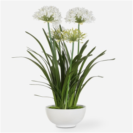 Purity Agapanthus-Artificial Flowers / Centerpiece