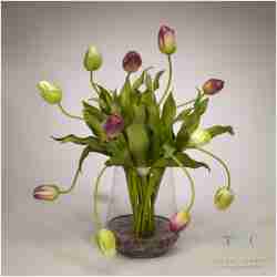 Purple Tulips in Clear Glass Vase - 21L x 21W x 24H Floral Arrangement