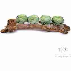 Row of Rose Echeverria in Wooden Log - 40L x 10W x 10H Floral Arrangement