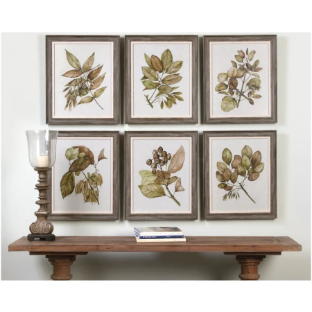 Uttermost Seedlings Framed Prints S/6